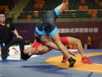  少年摔跤王经典语段有哪些 