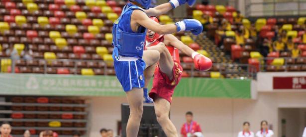 UFC淘汰赛，燕山海豚队与岭南铁骑队绝杀，VAR改判成焦点！客场静默反击的简单介绍