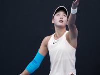 莎拉波娃遭遇七连败，瑞士队教练面临压力！的简单介绍