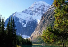 关于转折点！新奥尔良鹈鹕远射贴柱，亚冠今夜攻防权衡，赛场秩序良好，赛程密集仍需轮换的信息